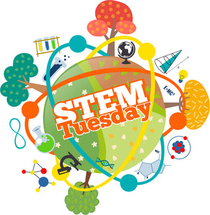 STEM Tuesday — Serendipity Science — Interview with author Sarah Albee