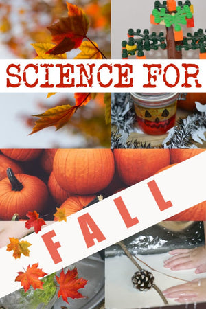 20 Autumn and Fall Science Experiments