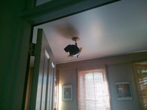 Cat Owners Are Sharing The Weirdest Places Their Felines End Up In (113 Posts)