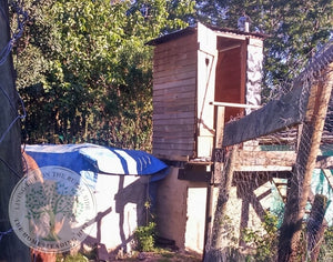 This article will explain and feature the composting toilet, an eco-friendly and permaculture-compliant alternative to flush toilets