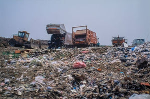 Sorry, But You’re Filling Up Landfills By Making This Recycling Mistake