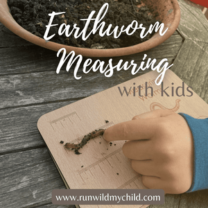 Nature’s Math: Earthworm Measuring with Kids