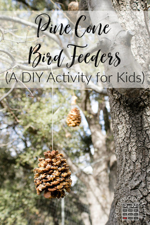 Pine Cone Bird Feeders