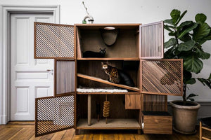 The Cat Flat Gives Cats a Home with 10 Things to Make Them Happy