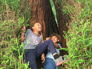 DIY Outdoor School: Redwood Regional + Botany Exploration