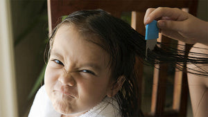 Head Lice in Children: What You Should Know!