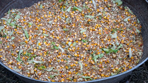 Let Your Toddler Play With Birdseed