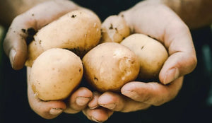 How to Remove that Rotten Potatoes Smell from Your Cabinet