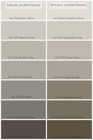 Layout Gray Brown Paint